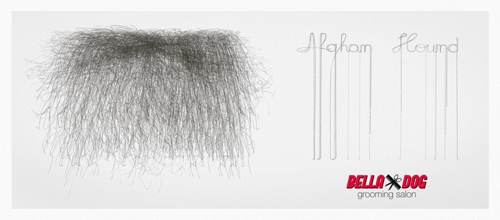 Собачьи стрижки