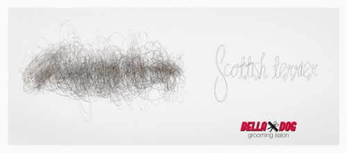 Собачьи стрижки