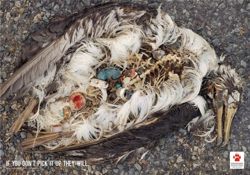      Endangered Wildlife Trust