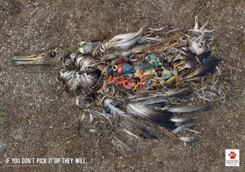      Endangered Wildlife Trust