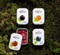  Sugarfree Arctic Candy