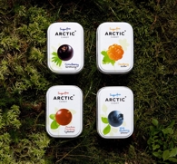  Sugarfree Arctic Candy