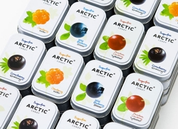  Sugarfree Arctic Candy