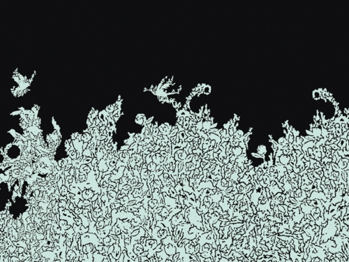 дизайн кофейни Solberg & Hansen