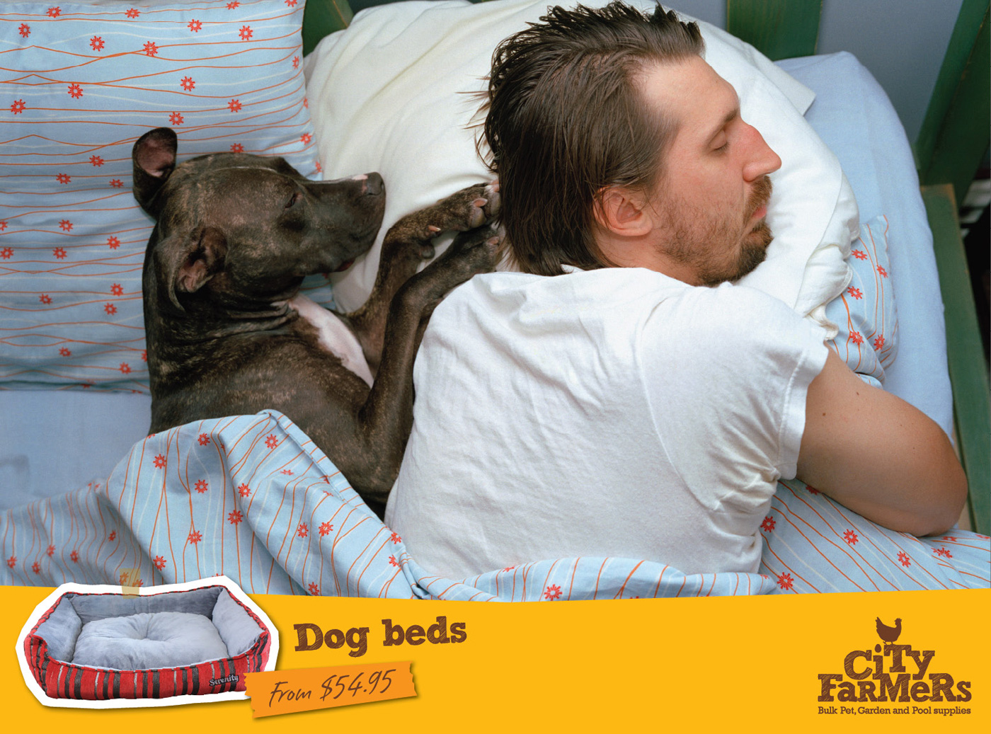Почему собаки спят на кровати. Спящие люди и животные. Собаки в кровате с хозяевом. Собака в кровати с хозяином.