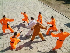 Китайский суд запретил Шаолиньскому монастырю регистрировать торговую марку Shaolin Medicine