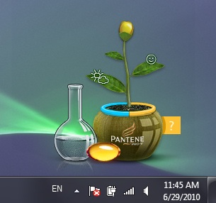 Pantene ,   , DigitaliZm