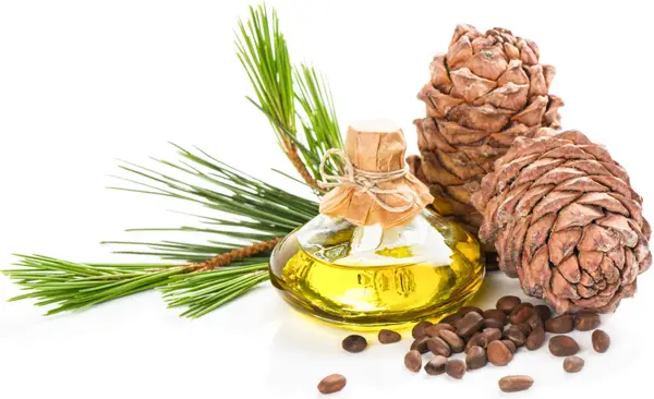 Кедровое масло