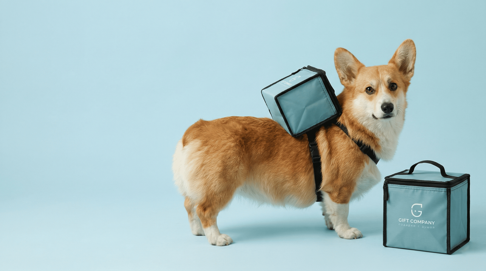 Пошив индивидуального мерча