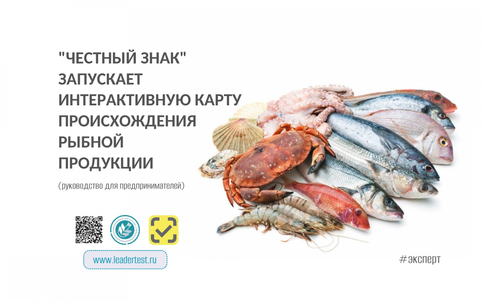 Честный Знак запускает интерактивную карту происхождения рыбной продукции: как теперь узнать, откуда приплыла рыба в ваших консервах