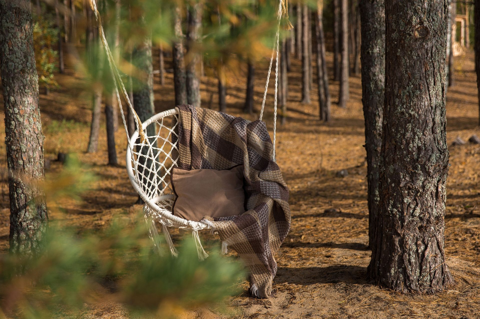 Отдых в лесу. Глэмпинг МЫС