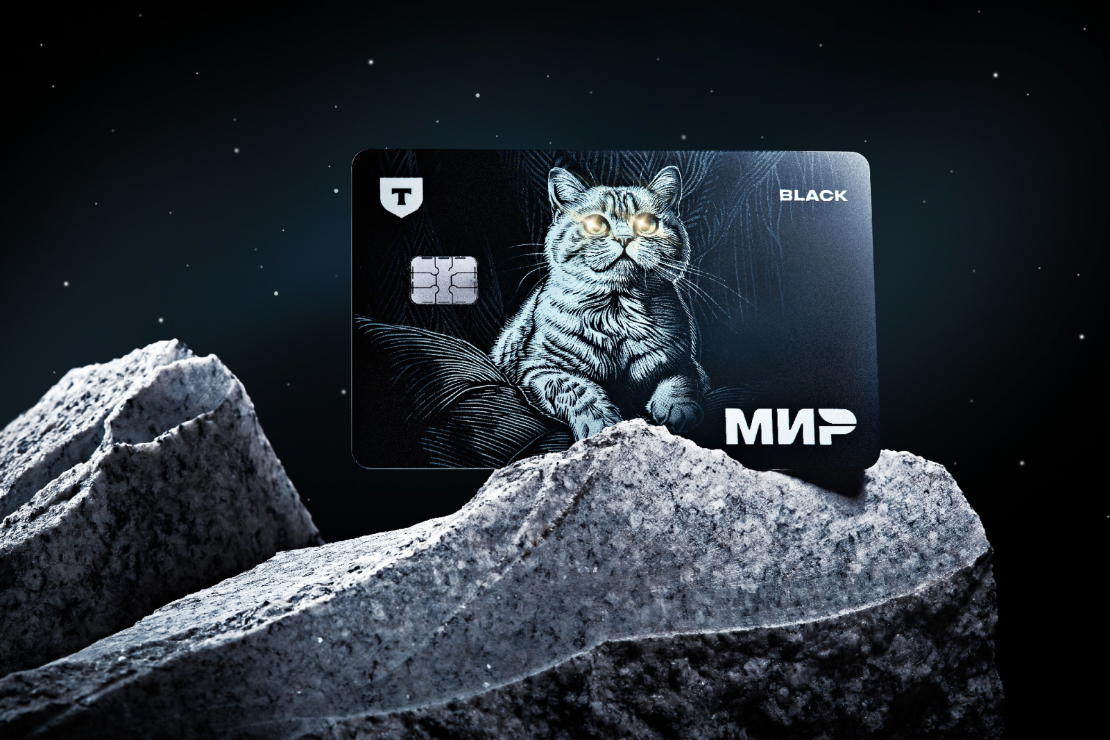 Изображение взято с официального сайта Т-Банка
