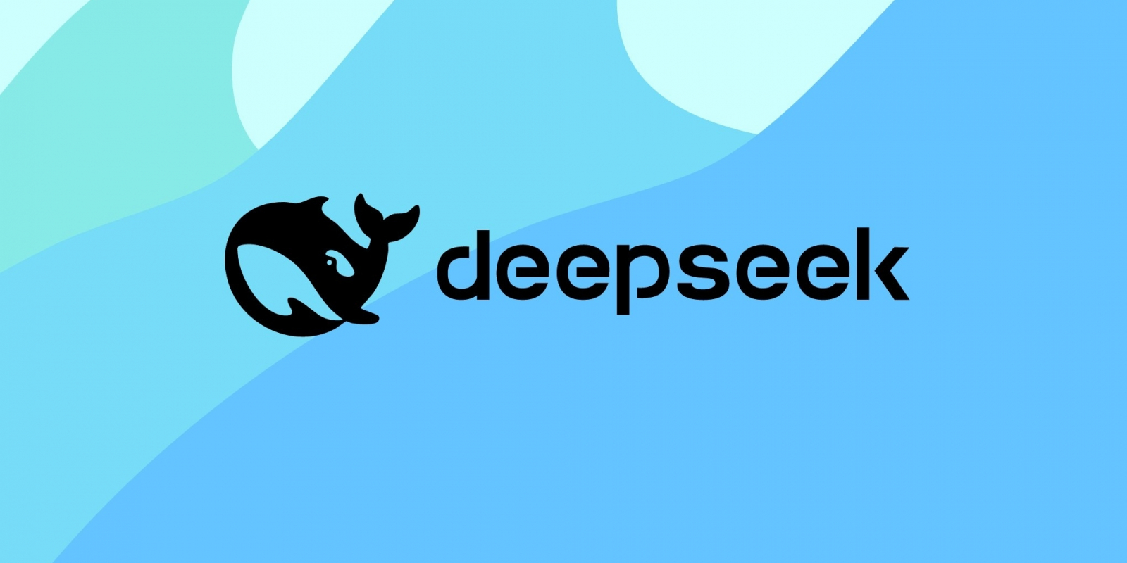 DeepSeek