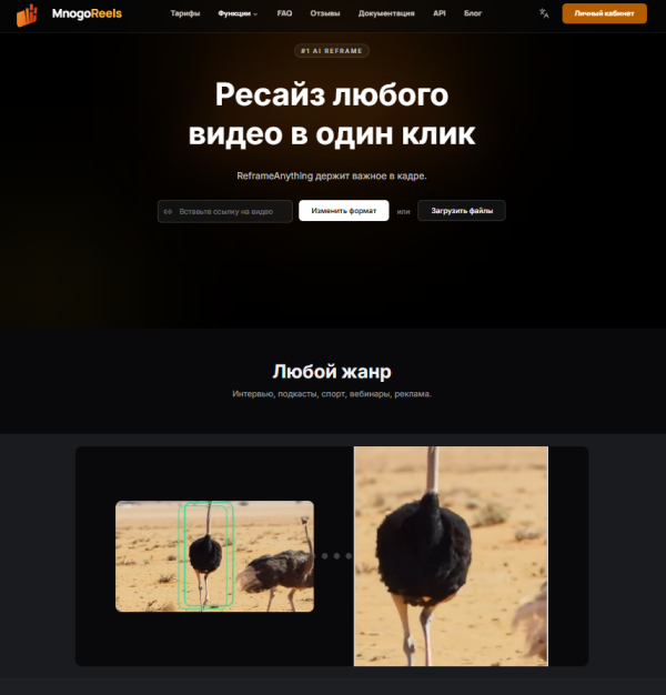 Рис. 1 - Страница рефрейма. «Ресайз любого видео в один клик», жанры и схема «до и после», источник: mnogo-reels.ru