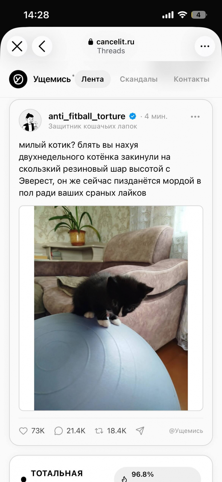 Вот такой вот котик