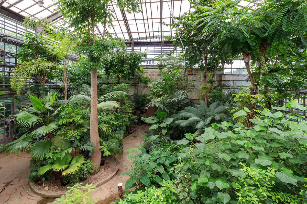 Оранжерея, Ботанический сад