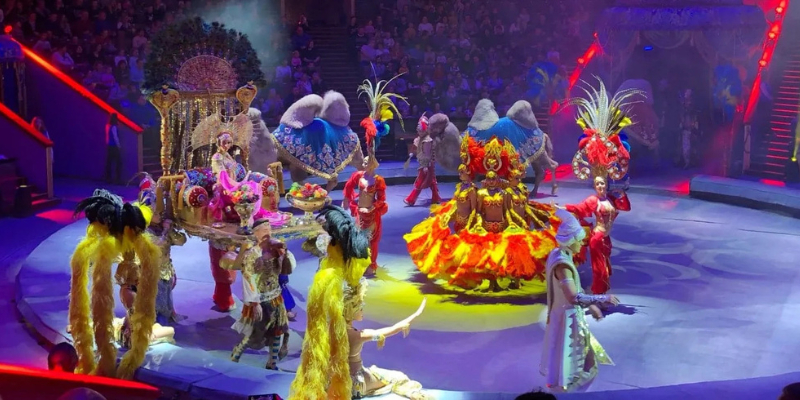 Новогодние шоу в Большом Московском Цирке