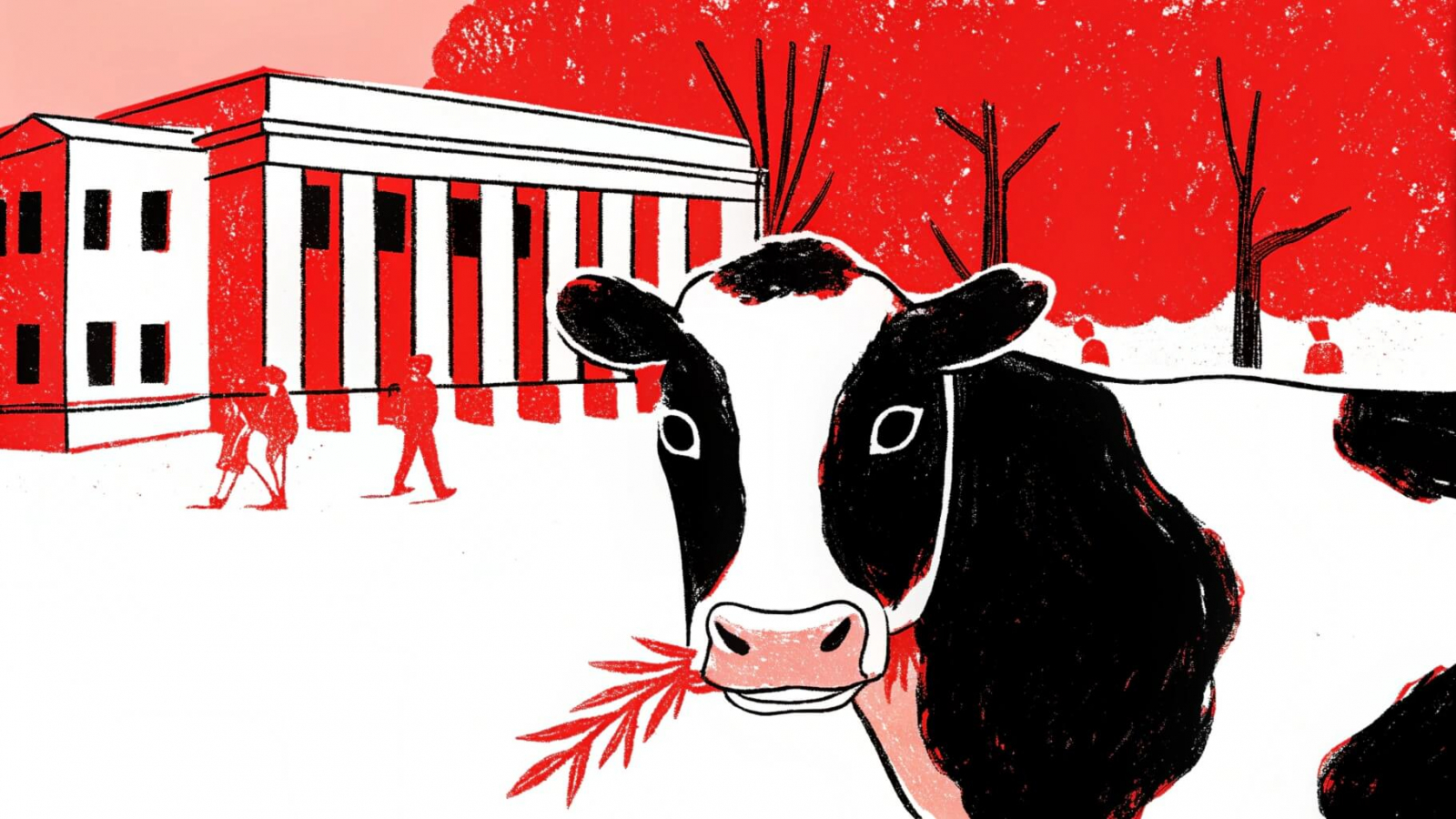 Кейс — пустая трата времени или инструмент продвижения?