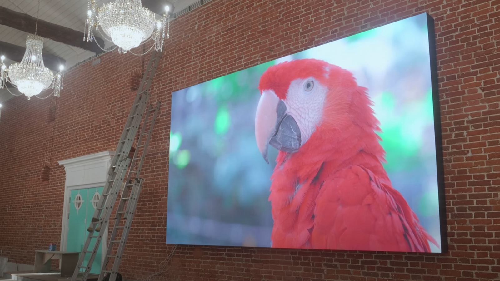 LED-экран в усадьбе Гребнево