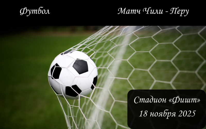 Матч «Чили — Перу» в Сочи