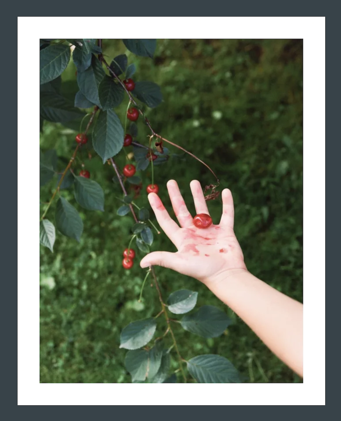 Автор: Вероника Трубникова