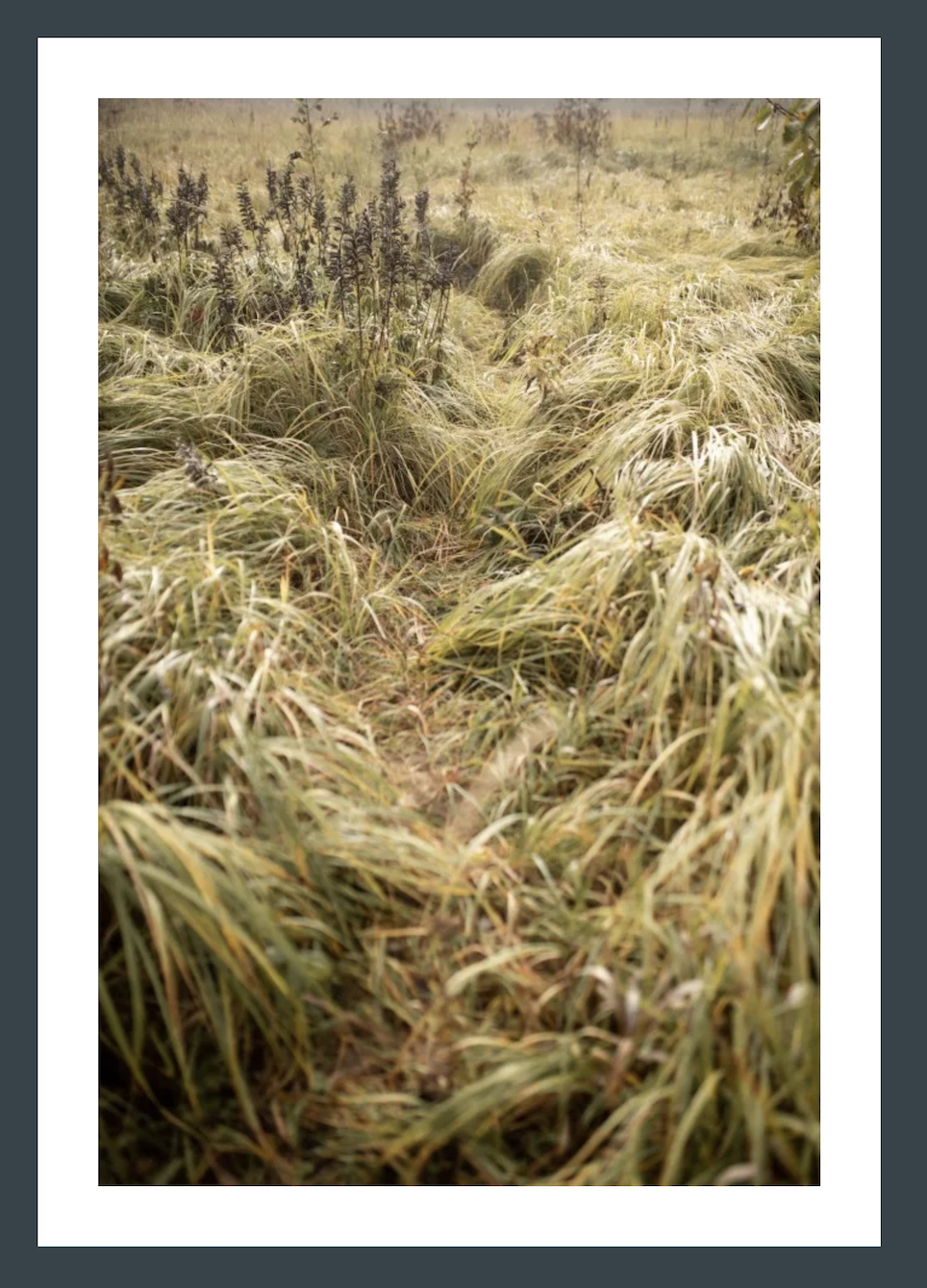 Автор: Наталья Спиридонова