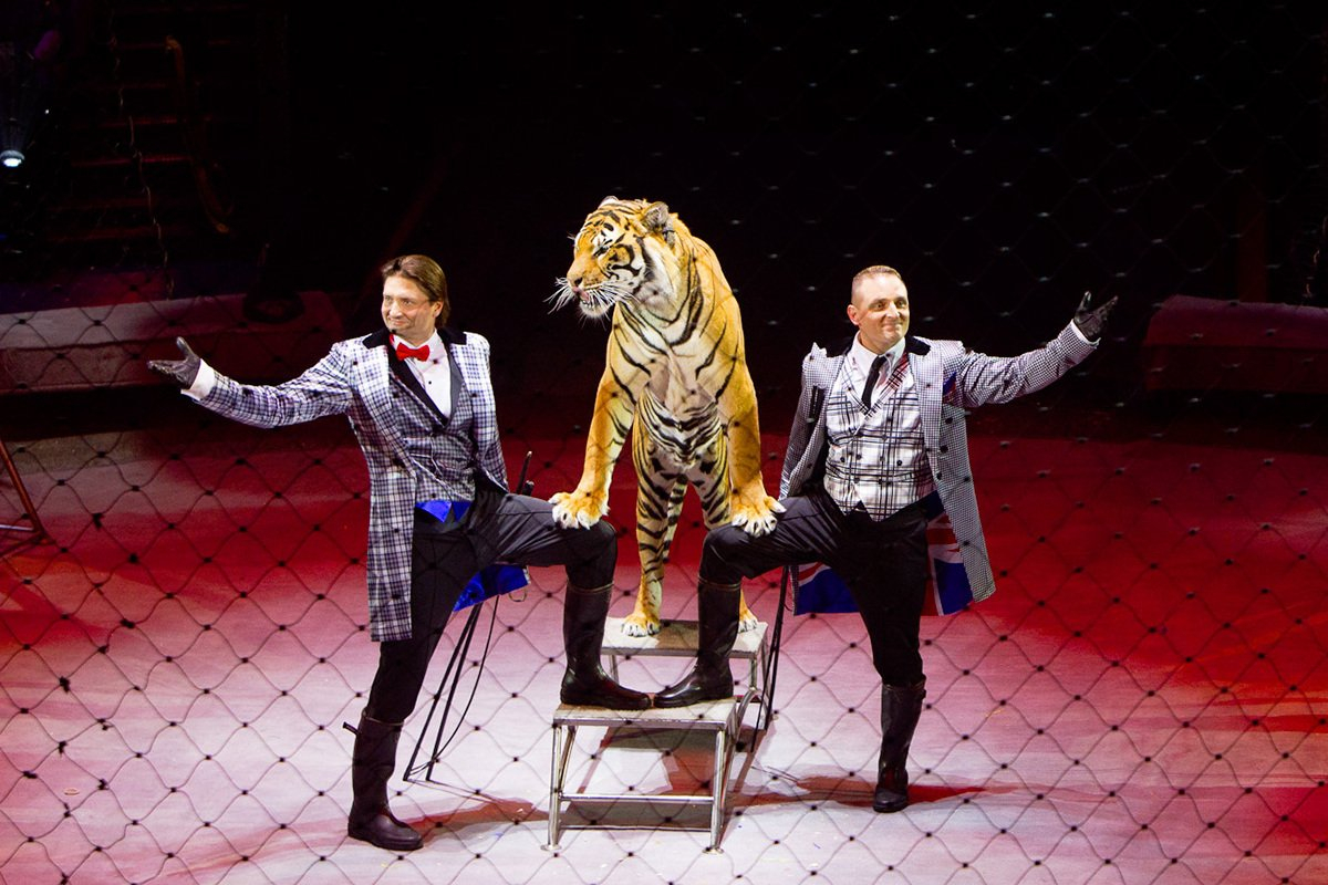 Цирк Запашных