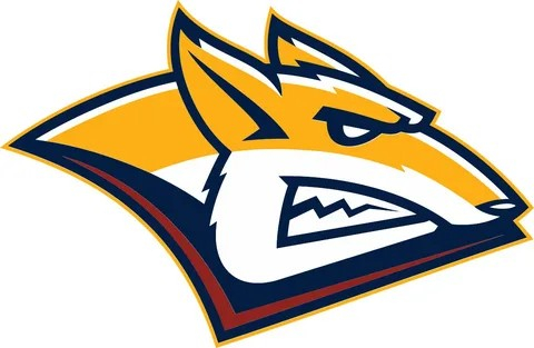 ХК «Металлург»