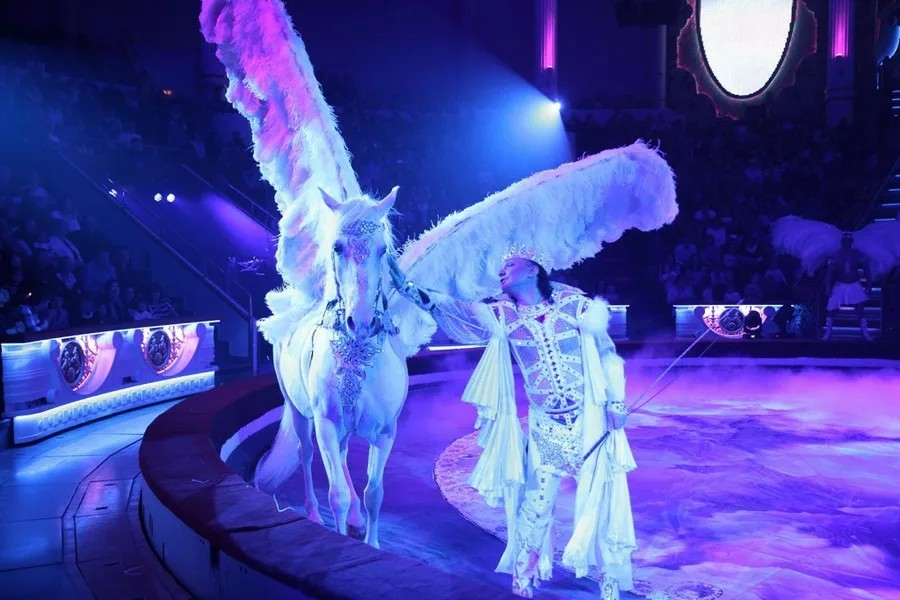 Цирк Гии Эрадзе