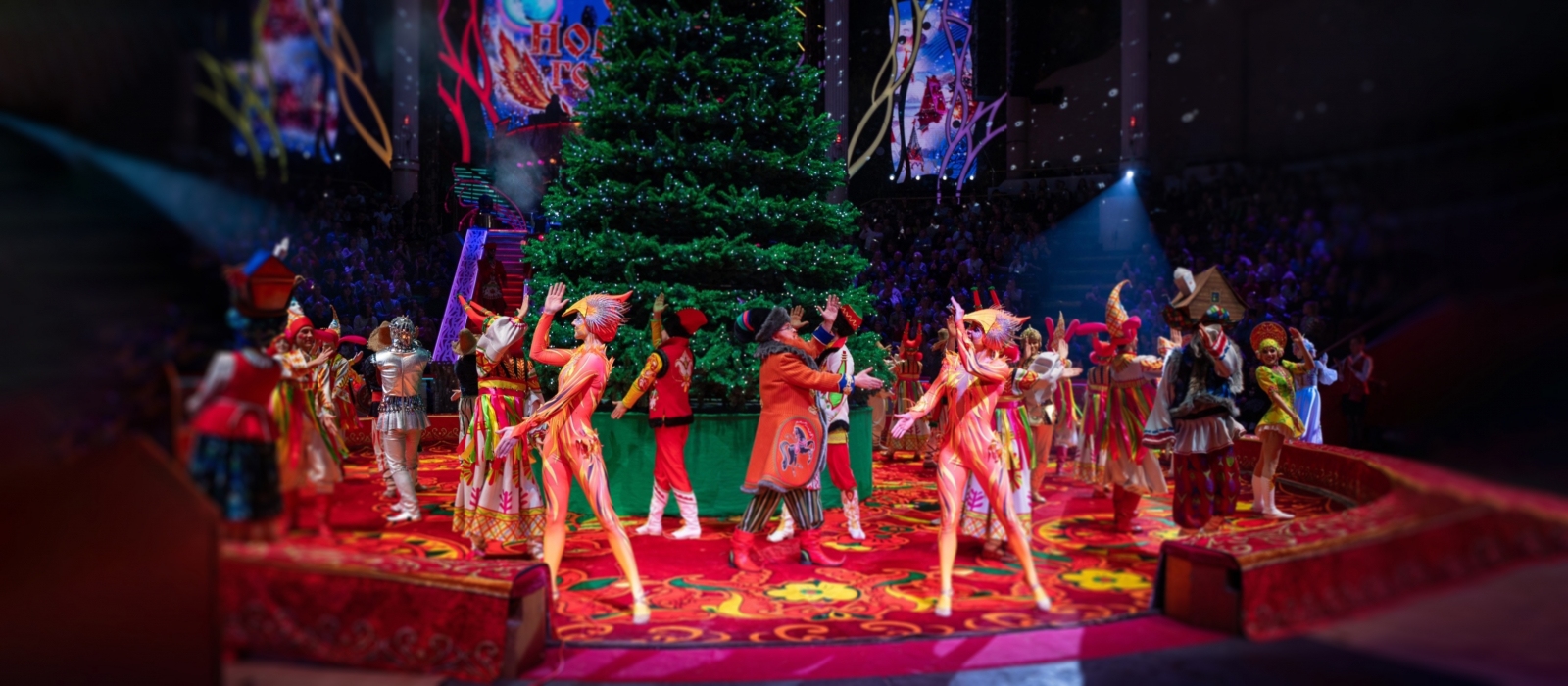 Елка в цирке