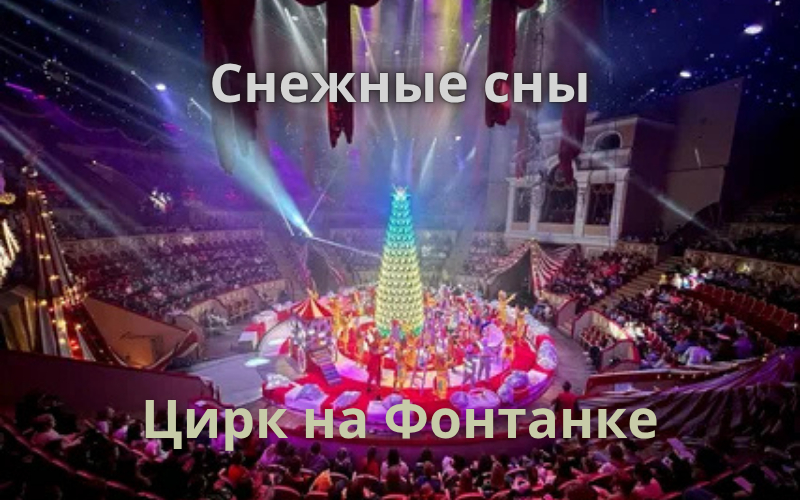 Снежные сны в цирке на Фонтанке 