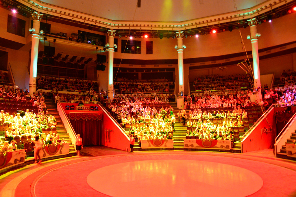 Новогодняя программа в Большом Московском цирке