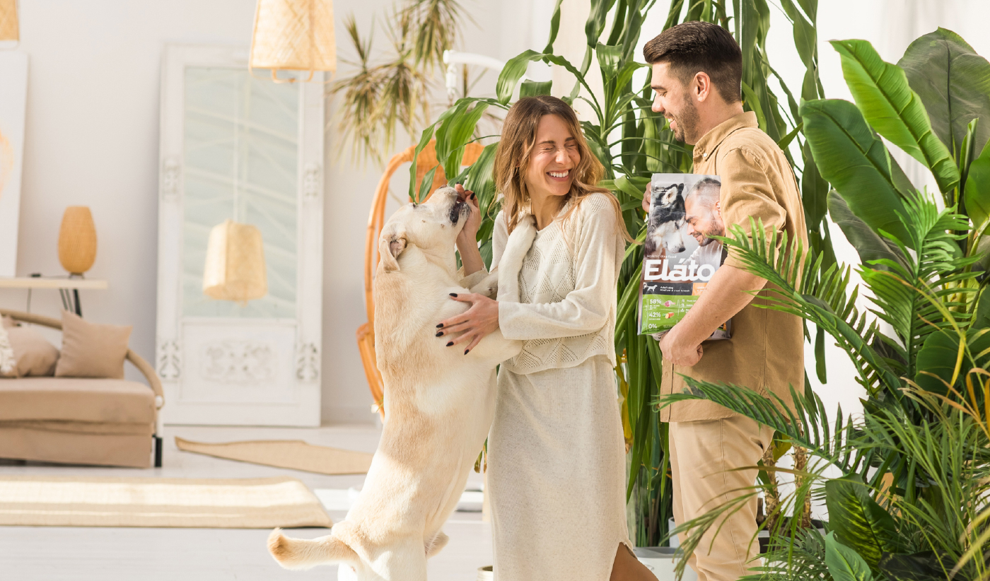Создание бренда кормов-холистиков для собак и кошек Elato. Кейс брендингового агентства COMPASS