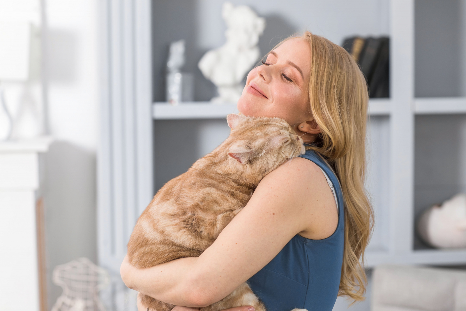 Визуальная концепция корма для кошек и собак с акцентом на отношения между питомцем и хозяином