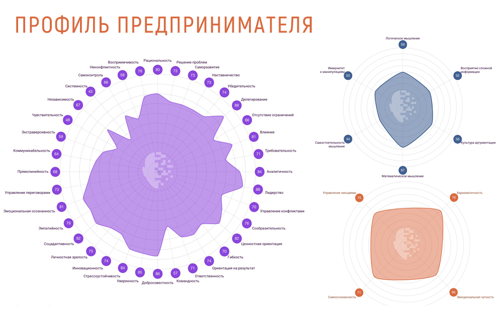 Профиль предпринимателя SkillCode