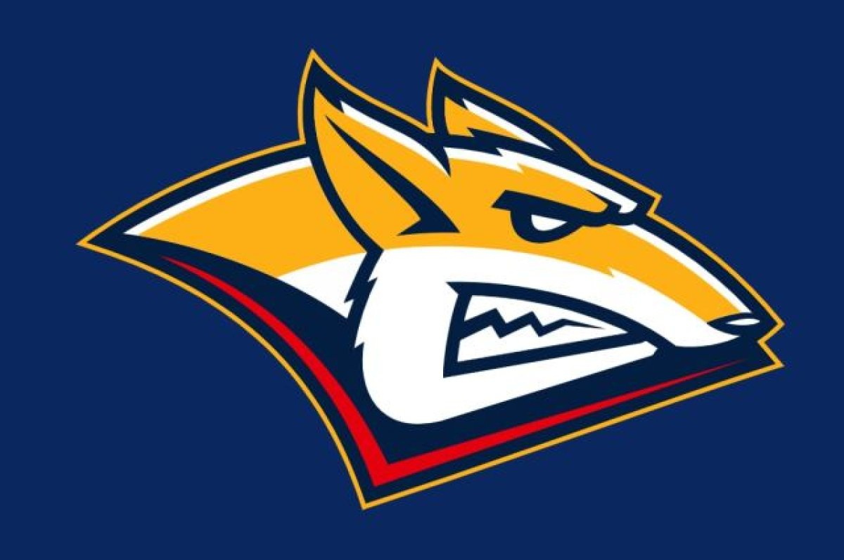 Матчи ХК «Металлург»