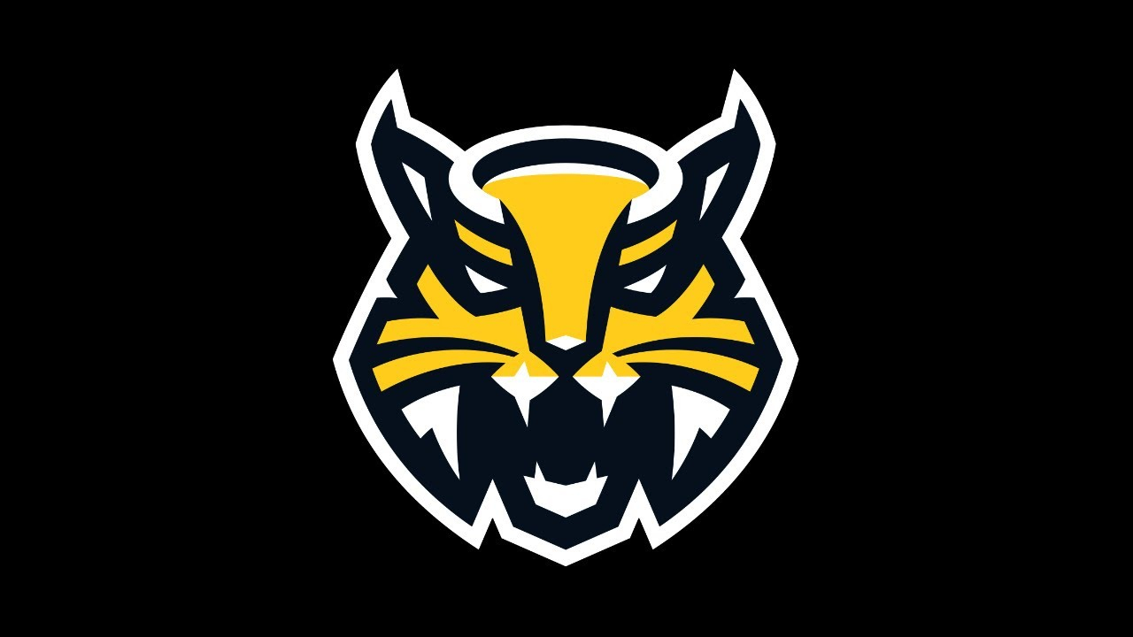 ХК «Северсталь»