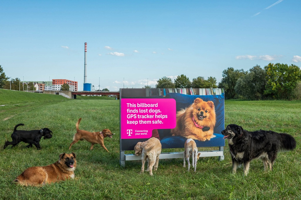 Реклама HT: плакат, который помогает найти потерявшихся собак