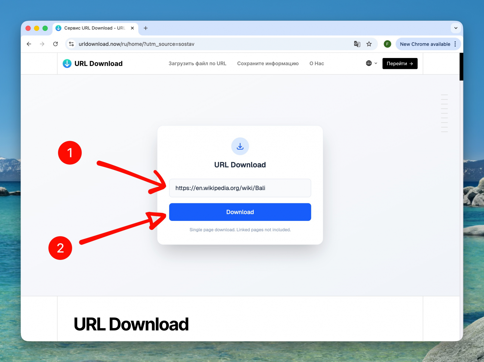 URL Download
