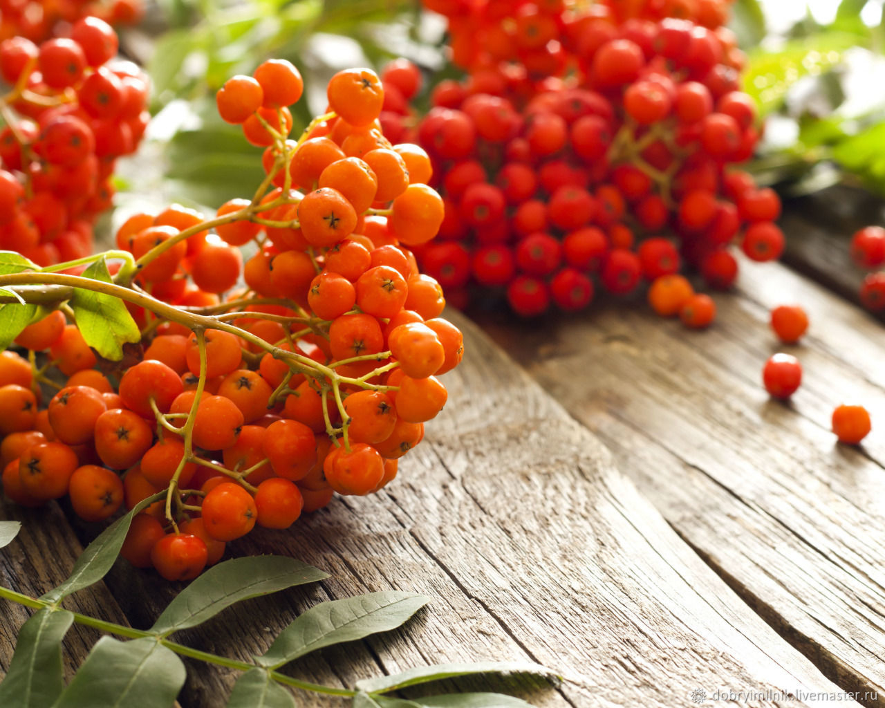 Иван чай с красной рябиной.