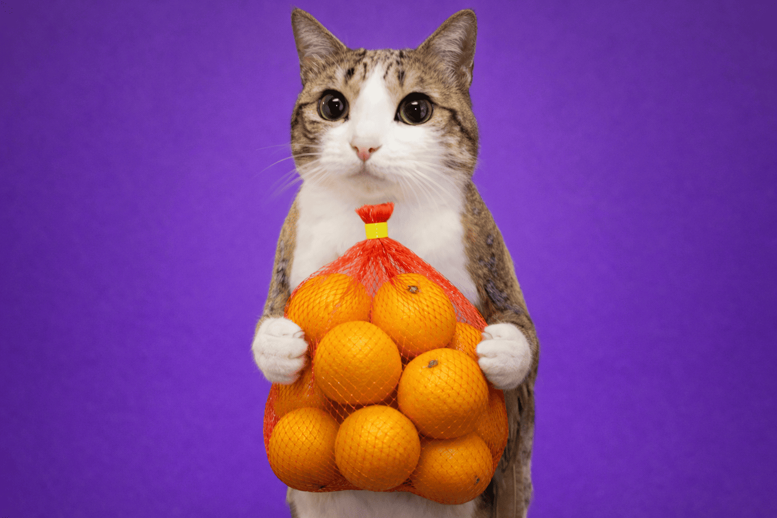 Нестандартный инфлюенс-маркетинг