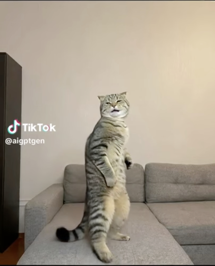 Тикток тренд Токсис - https://www.tiktok.com/@aigptgen/video/7611989622112996616