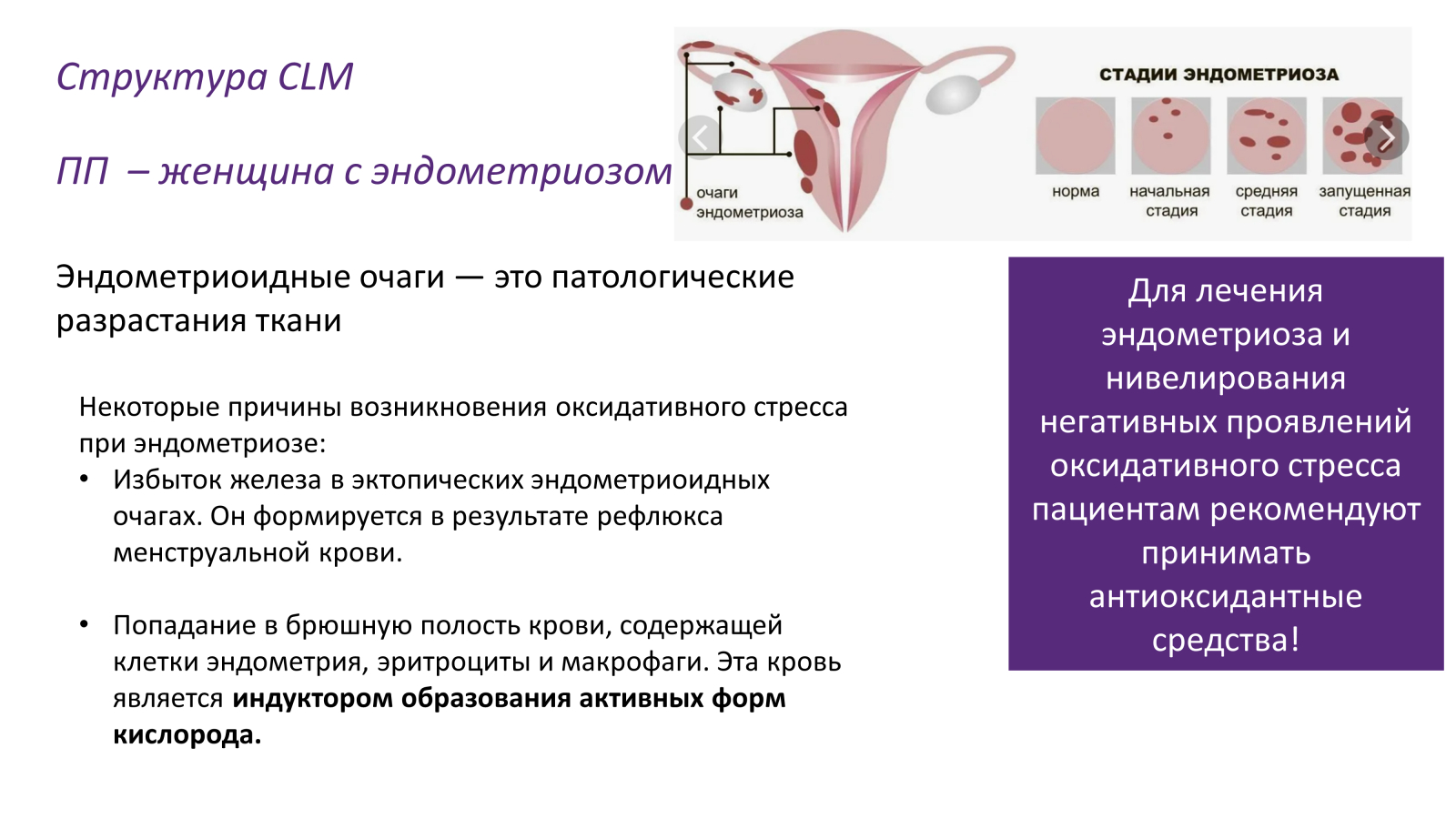 Источник: МАРФА*