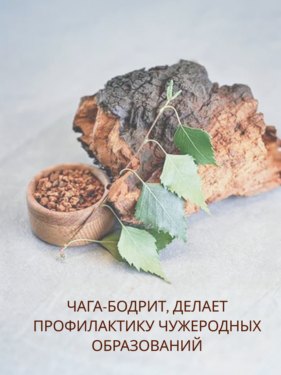 Чага: Древесный дар природы для вашего здоровья🍄