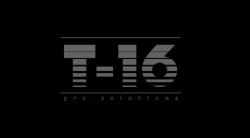 Т-16