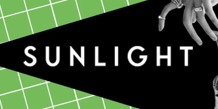 Sunlight Influencer marketing