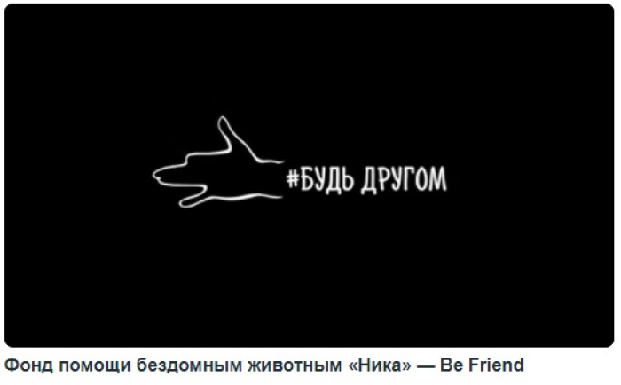Фонд помощи бездомным животным «Ника» Креатив