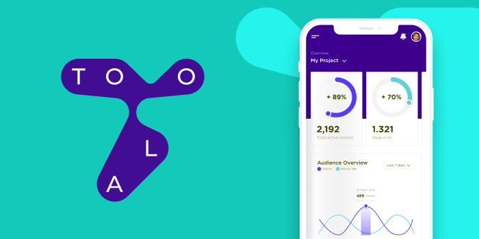 TOOLA. ФИРМЕННЫЙ СТИЛЬ Брендинг