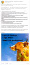 Коровка из Кореновки во ВКонтакте
