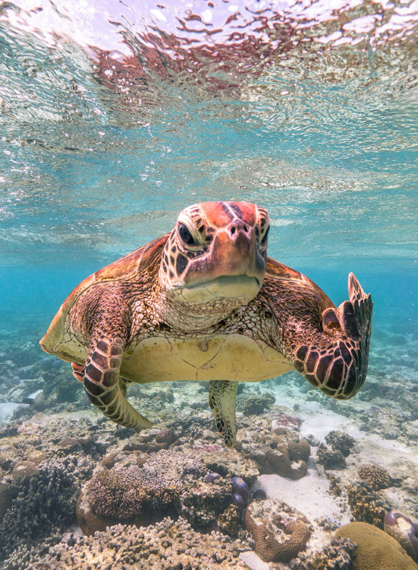 Фото Показывающие Фак